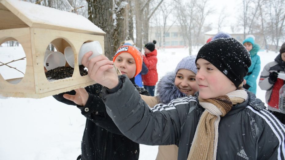 В Острогожском районе провели акцию «Покормите птиц зимой»