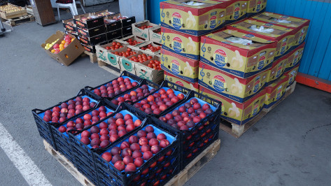 Из оборота в Воронежской области изъяли почти 1,5 тонны овощей и фруктов