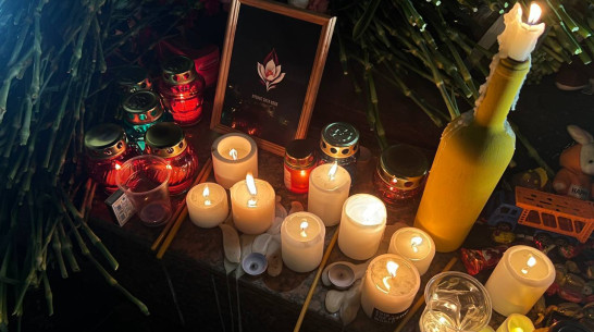 Воронежский губернатор: «Еще раз выражаю соболезнования каждому, кого коснулась трагедия в Крокус Сити Холле»