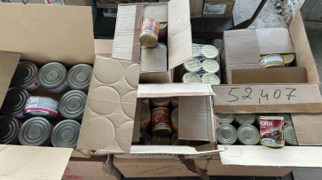 Сотрудники аппарата воронежского губернатора отправили пострадавшим белгородцам полтонны консервов
