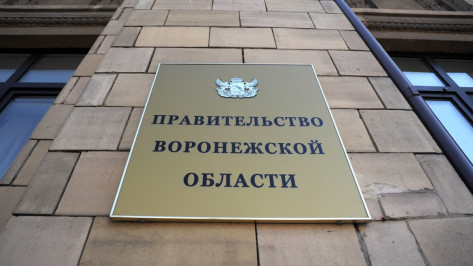 Воронежские власти нацелились на первую десятку российского инвест-рейтинга