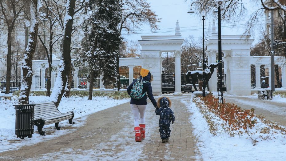 Воронежский парк «Орленок» утвердил зимний график работы