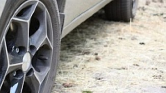 В Воронежской области два человека погибли после столкновения «Лады Приора» с деревом