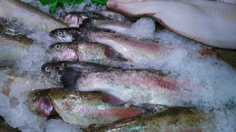 Роспотребнадзор отозвал сертификат у воронежского завода за излишнюю глазурь на рыбе