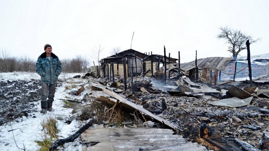 В Воронежской области у фермера сгорели 63 коровы