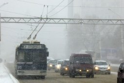 Два остановленных троллейбусных маршрута в Воронеже возобновят работу к февралю