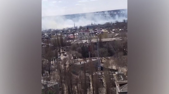 В воронежском микрорайоне Придонской загорелась сухая трава на площади 8 га