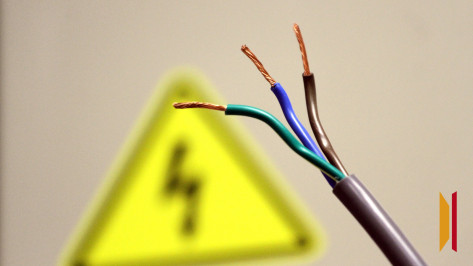 Под Воронежем у жителей села Ямное экстренно отключат электричество 14 ноября