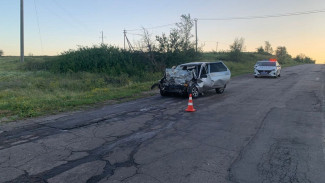 Жуткое ДТП в Воронежской области: пятеро погибли, пострадала 5-летняя девочка