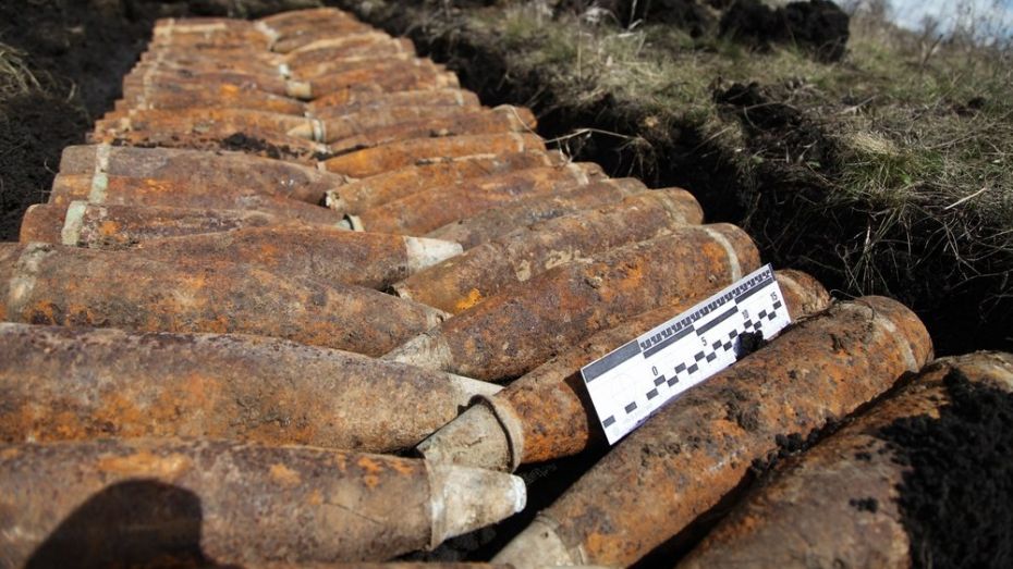 В Рамонском районе поисковики нашли противотанковые мины и артиллерийские снаряды
