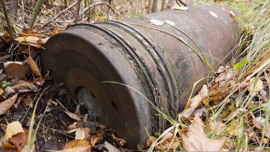 В Бобровском районе в лесополосе обнаружили снаряд времен Великой Отечественной войны