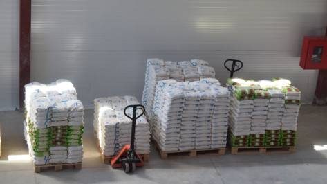 «Продимекс»: воронежские сахзаводы продолжают подготовку к новому сезону