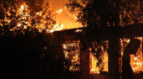 В Воронежской области при пожаре в частном доме погибли 2 человека