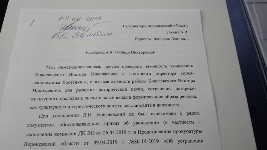 Петицию за экс-директора воронежских «Костенок» подписали более 1,3 тыс человек