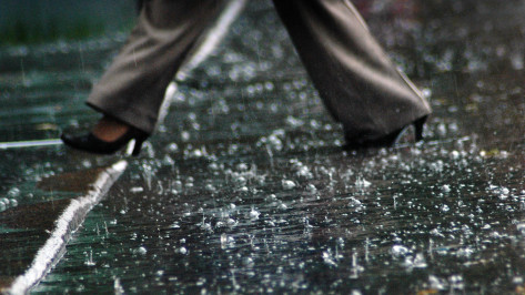 Первые июльские выходные в Воронеже будут дождливыми