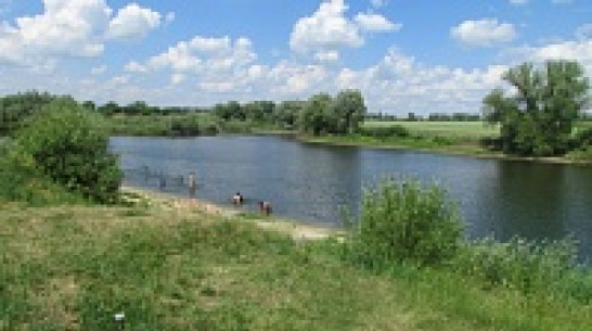 В Нижнедевицком районе мелеет единственный пруд, пригодный для купания 