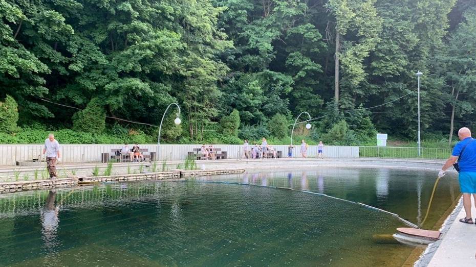 Озеро в Центральном парке Воронежа почистили после жалоб горожан