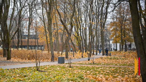 Температурный рекорд был вновь установлен в Воронеже
