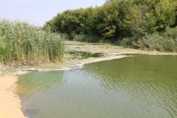 Экологи поставили рекам Воронежской области общий диагноз
