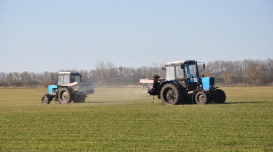 Воронежская область вошла в ТОП-5 медиарейтинга по «импортозамещению»