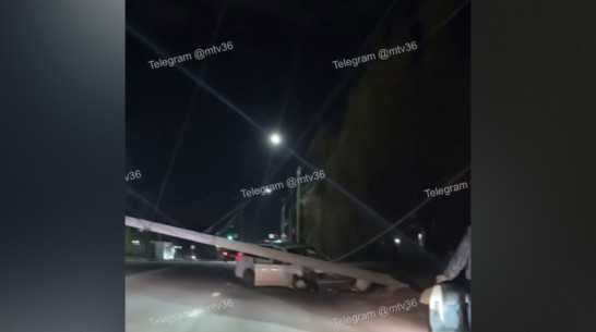 В Воронеже на машину рухнул столб