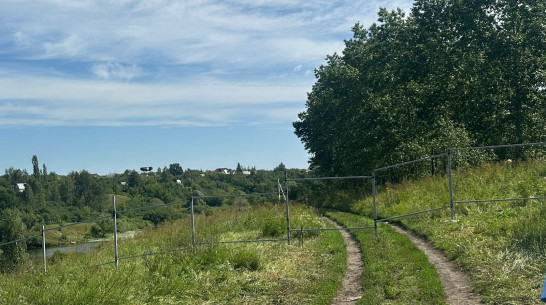 Минприроды не нашло нарушений после возведения забора возле пруда с лотосами под Воронежем