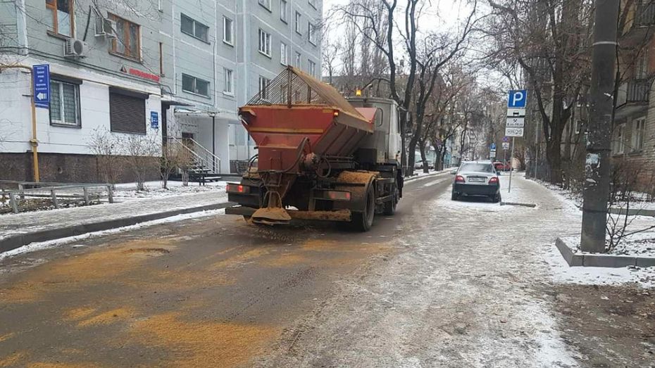 Превентивный удар по снегу и гололедице нанесли в Воронеже