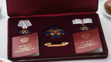 Владимир Путин наградил 5 многодетных семей из Воронежской области