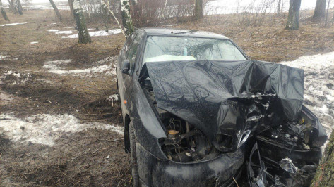 Под Воронежем иномарка с 18-летним водителем вылетела в кювет и врезалась в дерево