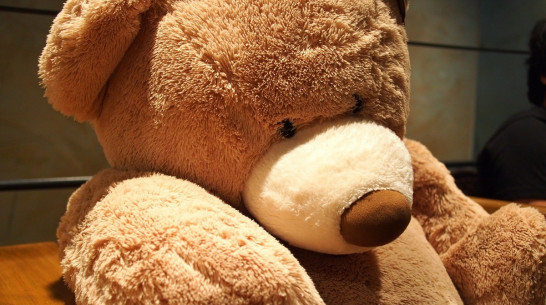 В Воронеже накануне 8 Марта мужчина похитил из магазина плюшевого медведя