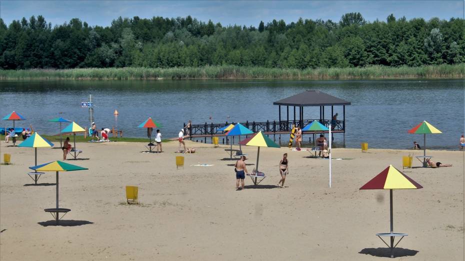 В Воронежской области поступили заявки на работу 53 пляжей