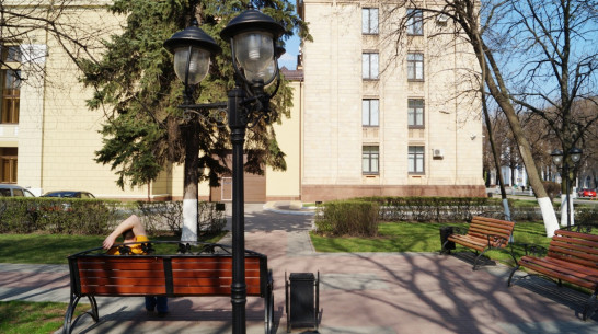 Западные ветры принесут Воронежу жару