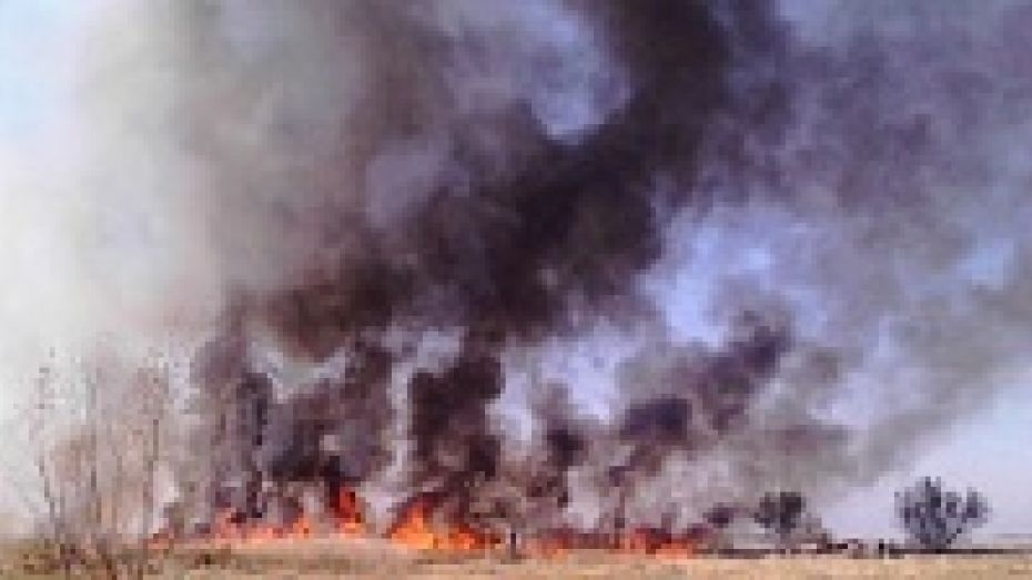 В Воронежской области участились ландшафтные пожары