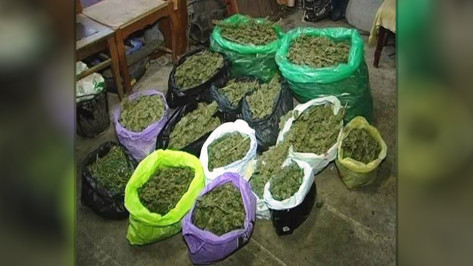 В Воронежской области на 18% увеличилось количество преступлений в сфере наркоторговли