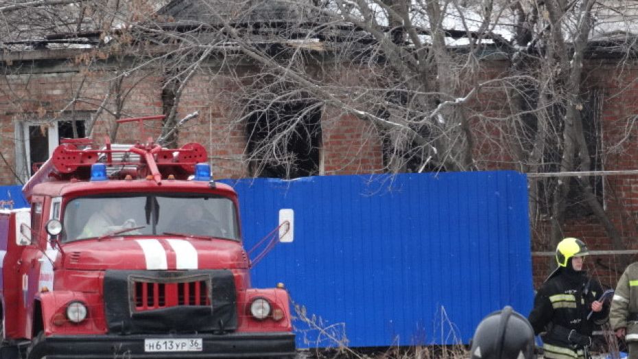 Министр соцзащиты и министр по ЧС вылетели на место пожара в Воронежской области