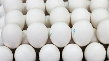 «Яйца по 150 рублей и умная колонка»: воронежцы назвали самые неудачные покупки в 2023-м