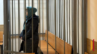 Нагадались до казенного дома: суд определил меру пресечения матери и дочери, обманувшим воронежскую владелицу IT-компании