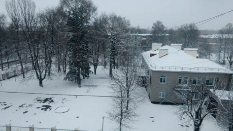 Стало известно, дойдет ли до Воронежа мощный снегопад, который обрушился на Москву