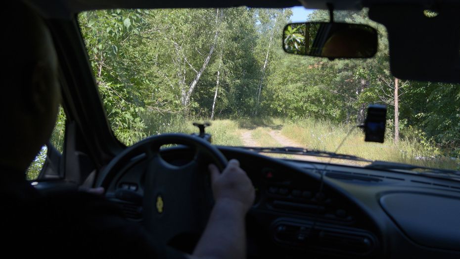 Воронежцам планируют запретить въезд в леса с 4 июля