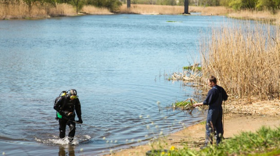 В Острогожском районе водолазы очистили перед началом купального сезона дно Тихой Сосны