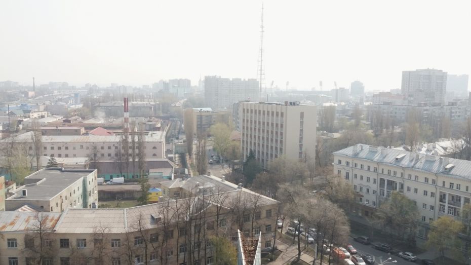 Воронежцы пожаловались на смог и запах гари