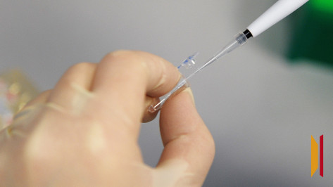 В воронежском селе Ячейка ввели карантин по бешенству животных