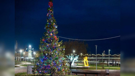 Живую ель на городской набережной Богучара впервые украсили новогодними игрушками