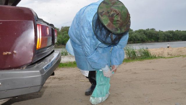 «Будем сидеть сосать»: белгородка сняла на видео дочь с леденцом в форме полового органа