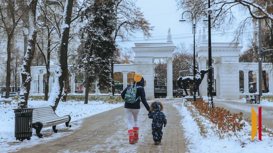 Воронежцев ждет морозная и снежная рабочая неделя