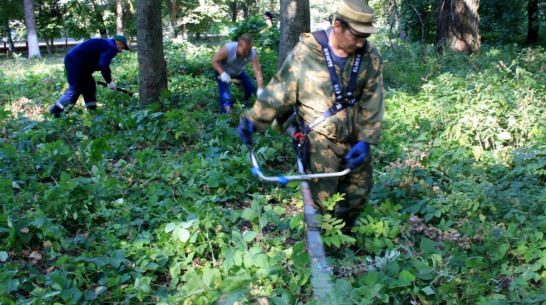 Аннинцы приняли участие в экологическом субботнике