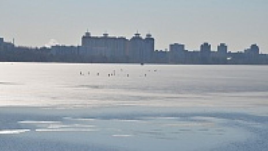 Воронежские рыбаки: под лед проваливаются только пьяные и глупые
