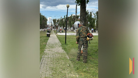 От гранта к преображению: как ТОСы Бутурлиновского района меняют свои территории к лучшему