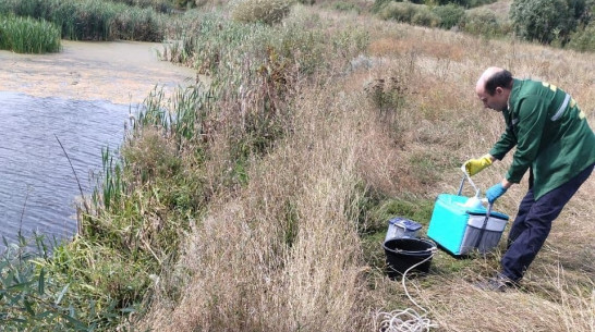 Экологи выяснят причины покраснения воды в оросительном канале в Воронежской области