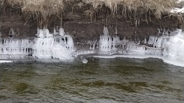 Жительница Богучара заметила на берегу реки замки изо льда